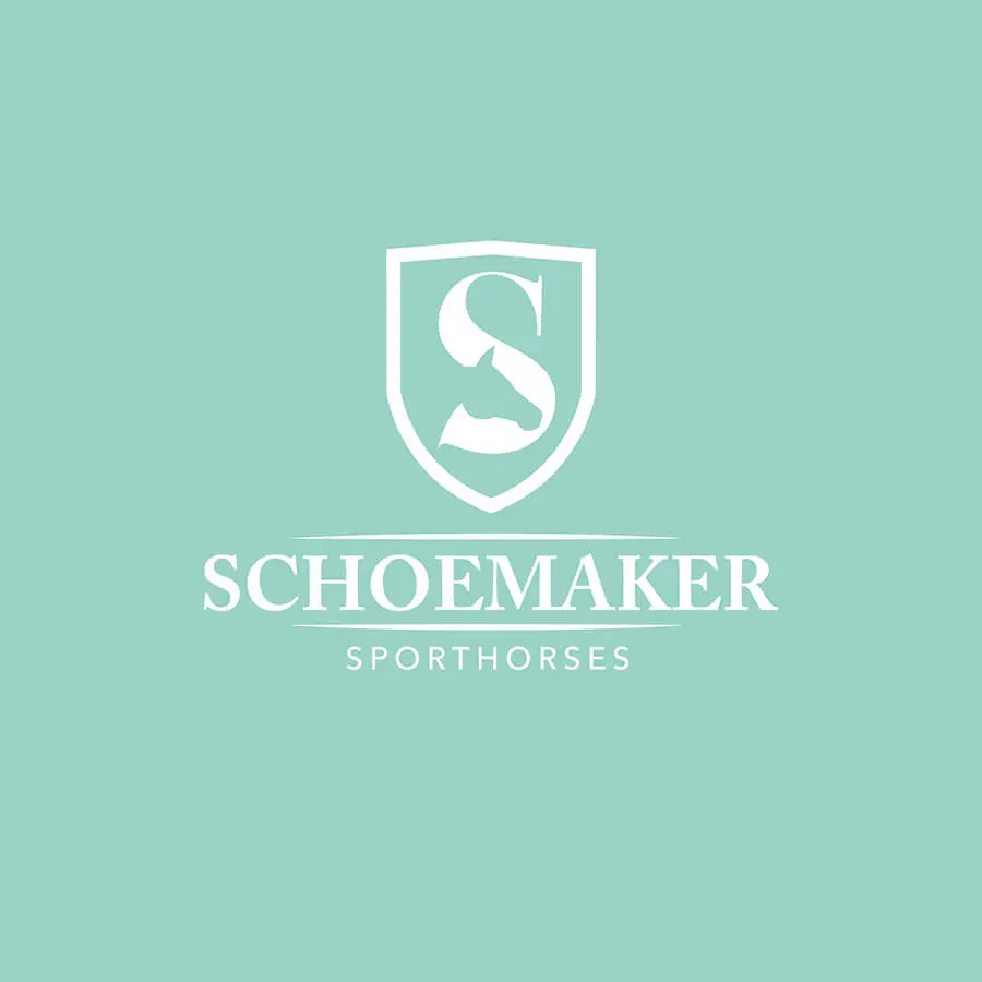 hippisch-in-beeld-schoemaker-sporthorses