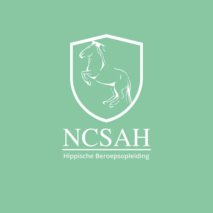 hippisch-in-beeld-ncsah