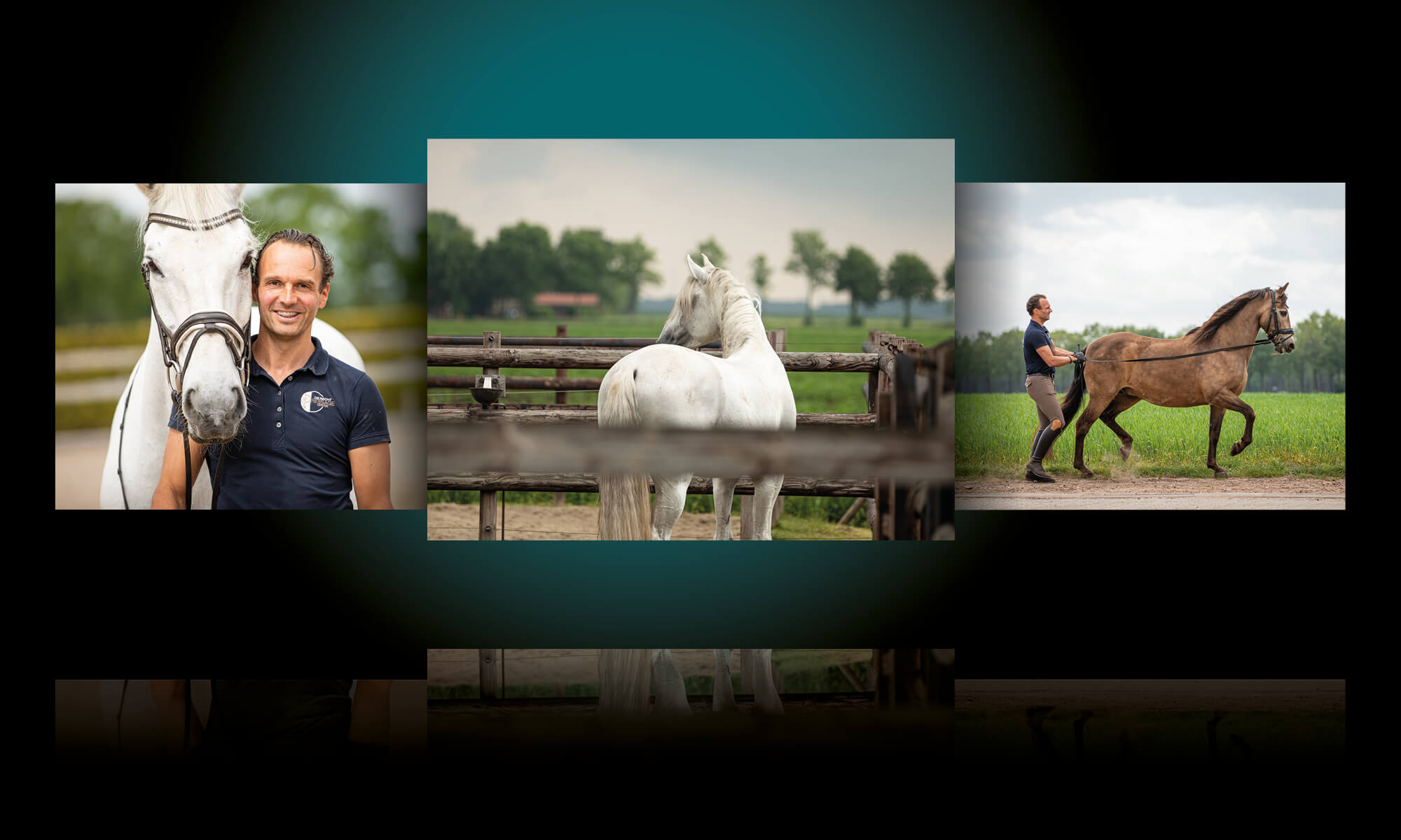 hippisch-in-beeld-de-recht-dressage-center-fotografie-1