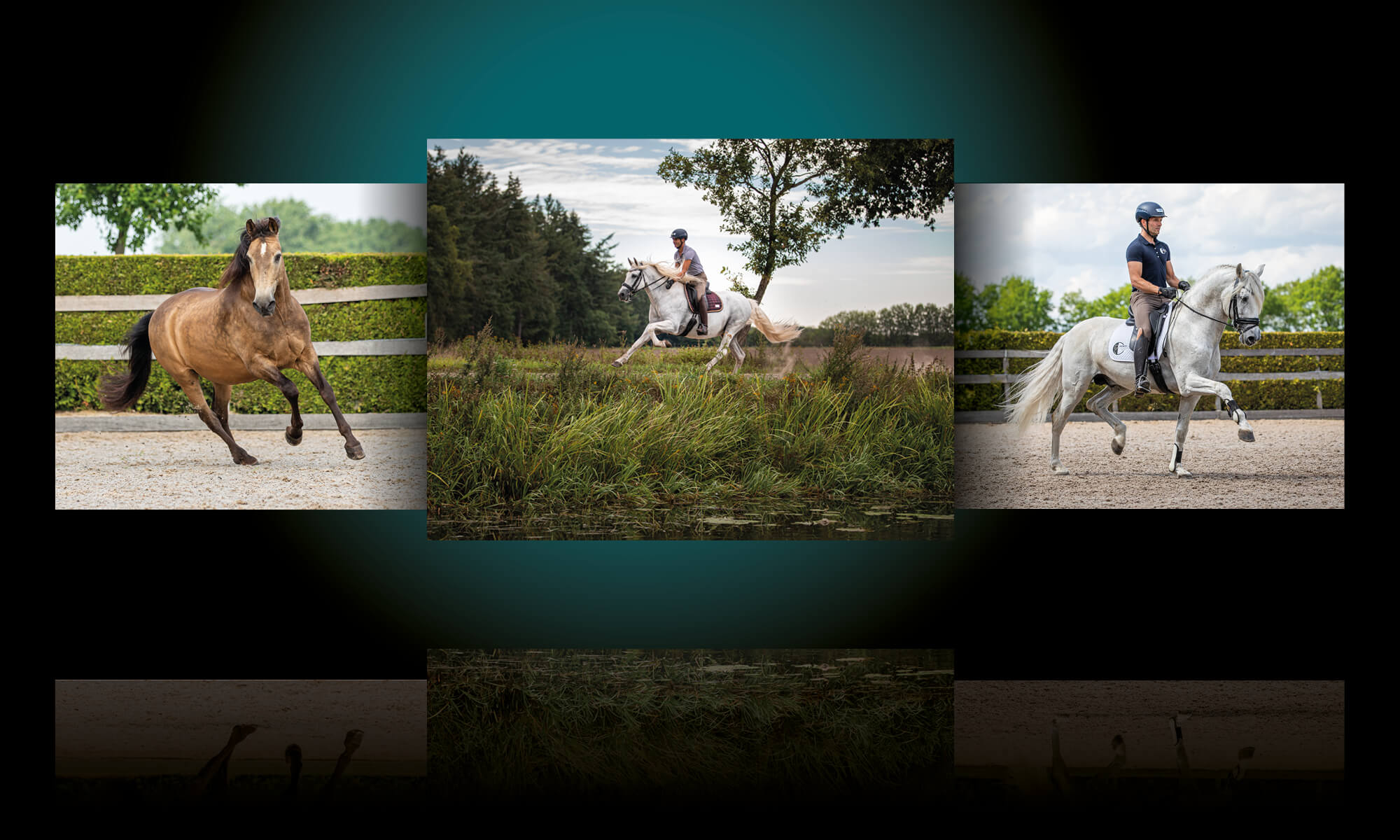 hippisch-in-beeld-de-recht-dressage-center-fotografie