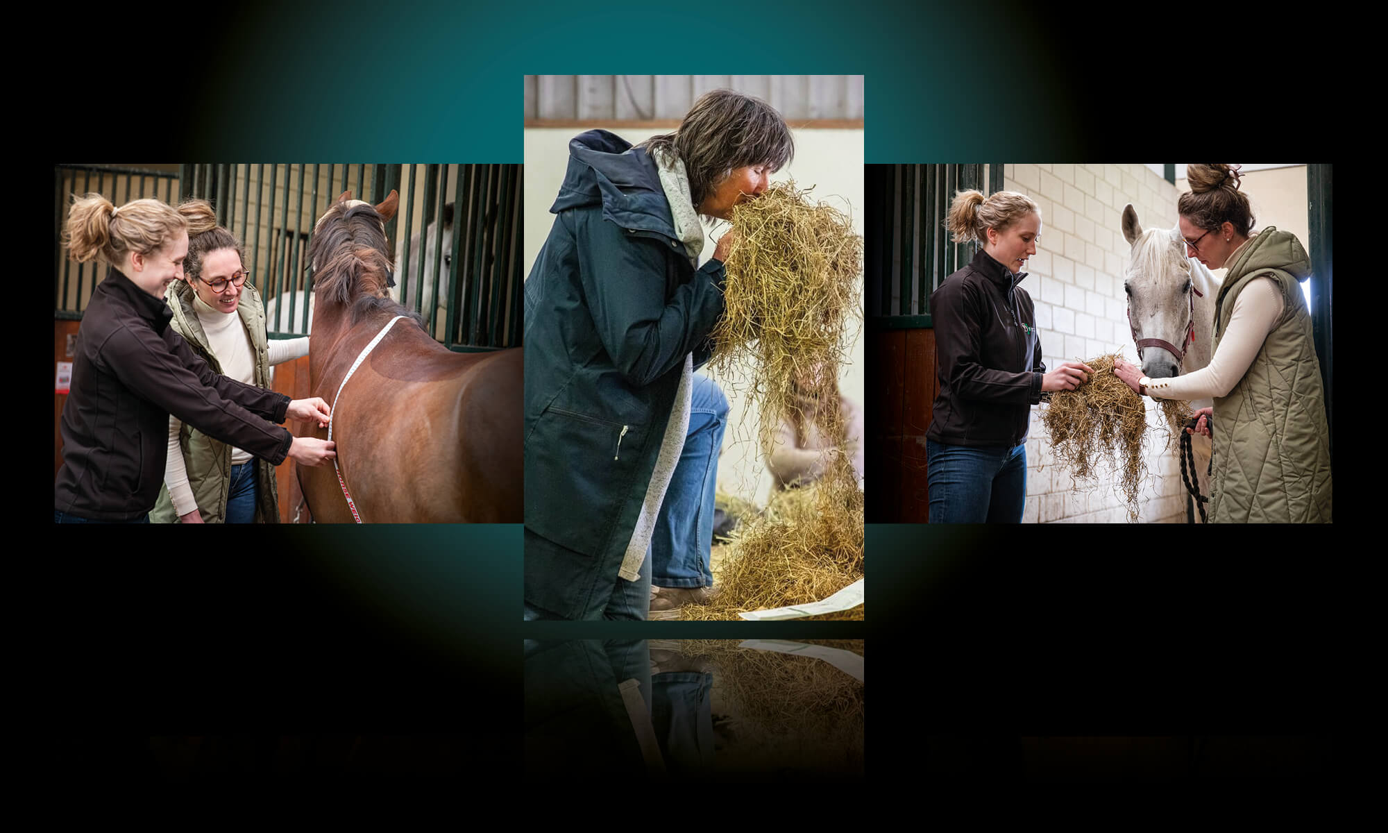 hippisch-in-beeld-dierenarts-voedingsconsulent-paard-fotografie