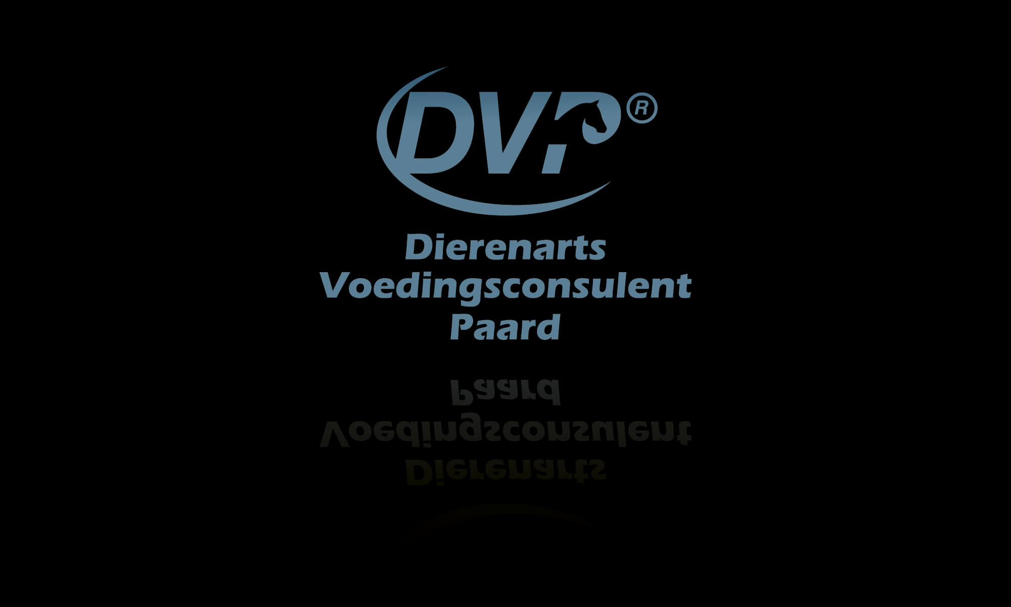 hippisch-in-beeld-dierenarts-voedingsconsulent-paard-logo